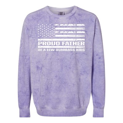 Proud Father Of A Few Dumbass Kids Usa Flag Funny Fathers Day Colorblast Crewneck Sweatshirt