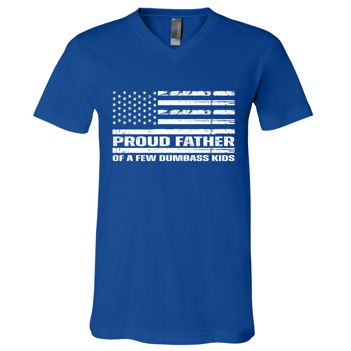 Proud Father Of A Few Dumbass Kids Usa Flag Funny Fathers Day V-Neck T-Shirt