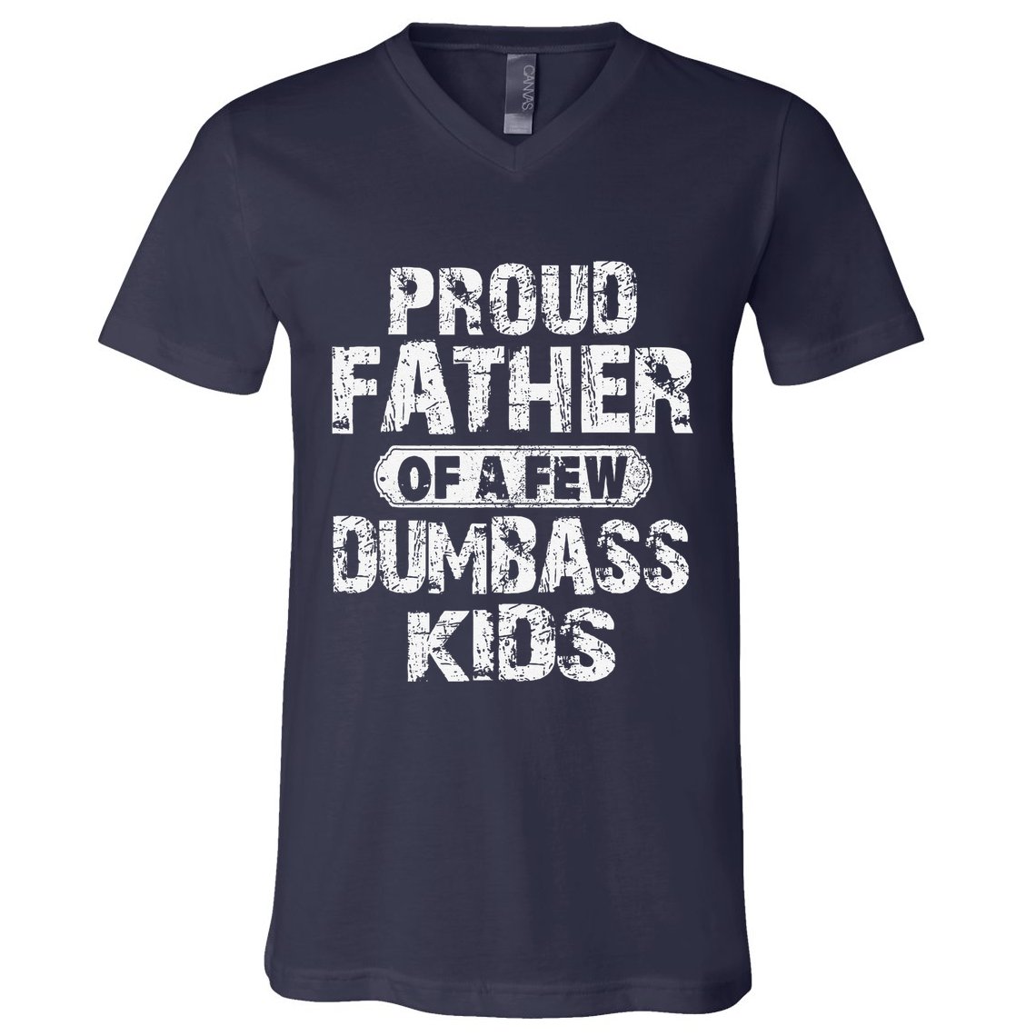 Proud Father Of A Few Dumbass Funny Vintage Fathers Day V-Neck T-Shirt