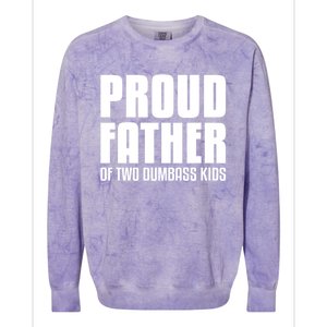 Proud Father Of Two Dumbass Gift Fathers Day Gift Dad Gift Colorblast Crewneck Sweatshirt