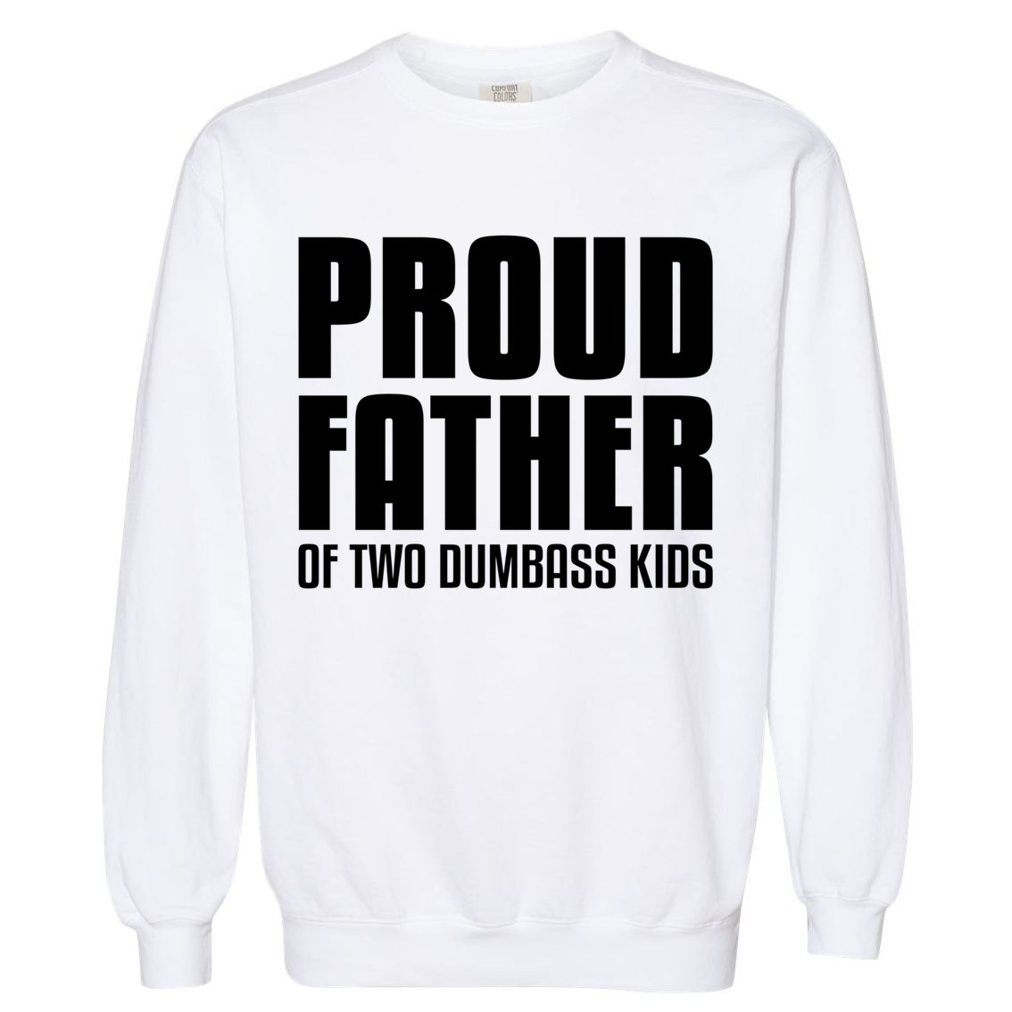 Proud Father Of Two Dumbass Gift Fathers Day Gift Dad Gift Garment-Dyed Sweatshirt