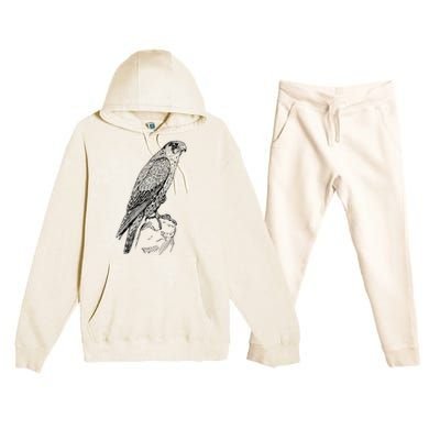 Peregrine Falcon Ornithology Falconer Bird Lover Premium Hooded Sweatsuit Set