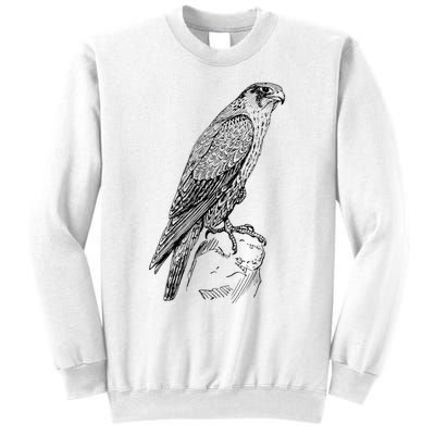 Peregrine Falcon Ornithology Falconer Bird Lover Sweatshirt