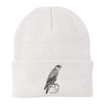 Peregrine Falcon Ornithology Falconer Bird Lover Beanie
