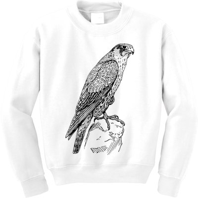 Peregrine Falcon Ornithology Falconer Bird Lover Kids Sweatshirt