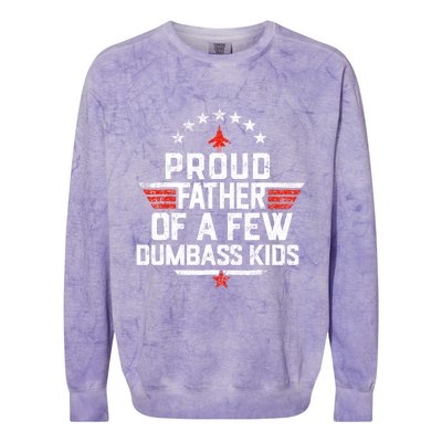 Proud Father Of A Few Dumbass Funny Dad Love Family Colorblast Crewneck Sweatshirt