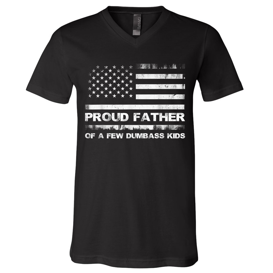Proud Father Of A Few Dumbass Funny Fathers Day V-Neck T-Shirt
