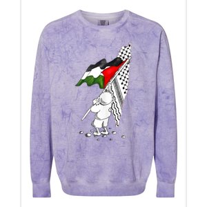 Palestine Free Palestine In Arabic Free Gaza Palestine Colorblast Crewneck Sweatshirt