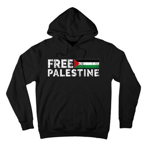 Palestine flag Palestine Free Palestine Gaza Flag Hoodie