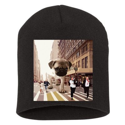 PUGZILLA Funny Pug For Dog Lovers To Halloween Short Acrylic Beanie