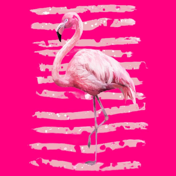 Pink Flamingo T-Shirt