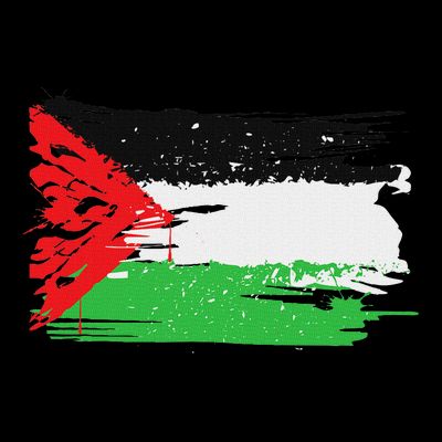 Palestine Flag T-Shirt