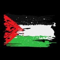 Palestine Flag Wool Snapback Cap