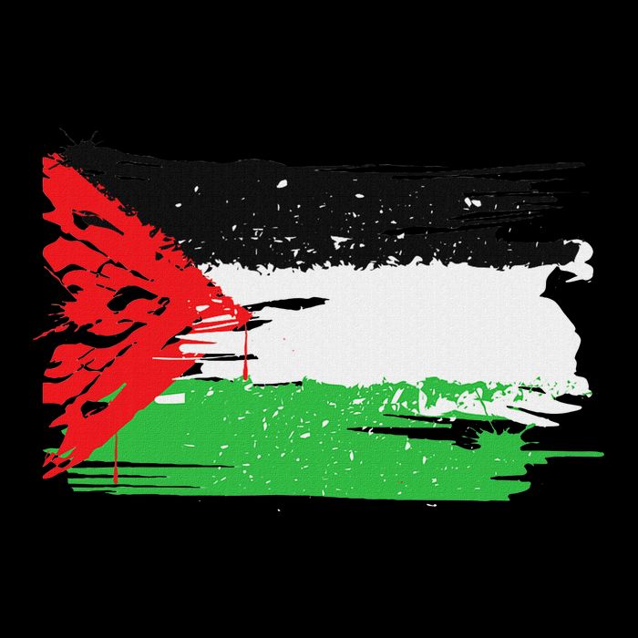 Palestine Flag Wool Snapback Cap