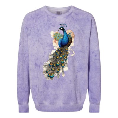 Peacock Feather Peahen Bird Animal Peacocks Lover Colorblast Crewneck Sweatshirt