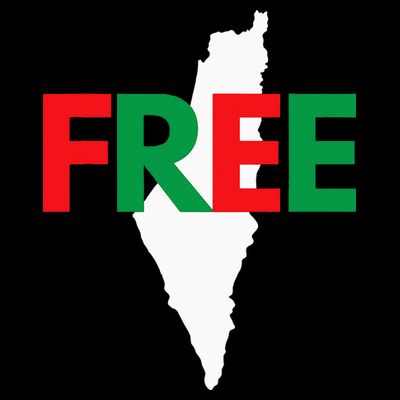 Palestine Free Palestine In Arabic Free Gaza Palestine Flag T-Shirt