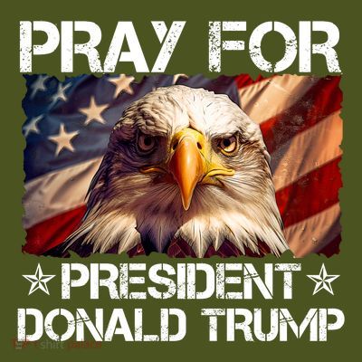 Pray For President Donald Trump American Flag Eagle T-Shirt