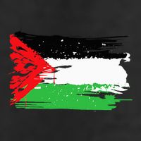 Palestine Flag Adult Drive Performance Visor