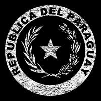 Paraguay Flag Paraguayan Seal Asuncion Youth Performance Sprint T-Shirt