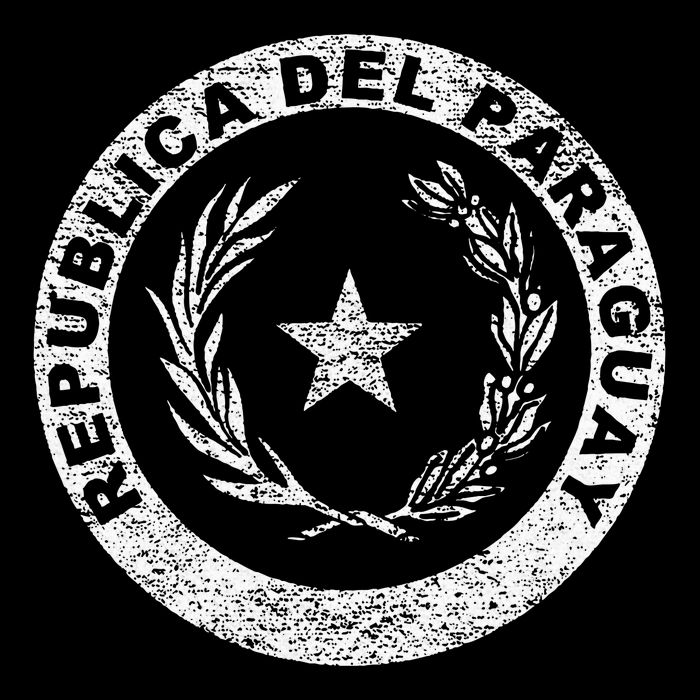 Paraguay Flag Paraguayan Seal Asuncion Youth Performance Sprint T-Shirt