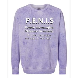 P.E.N.I.S. Funny People Niceness in Society Snarky Design Colorblast Crewneck Sweatshirt