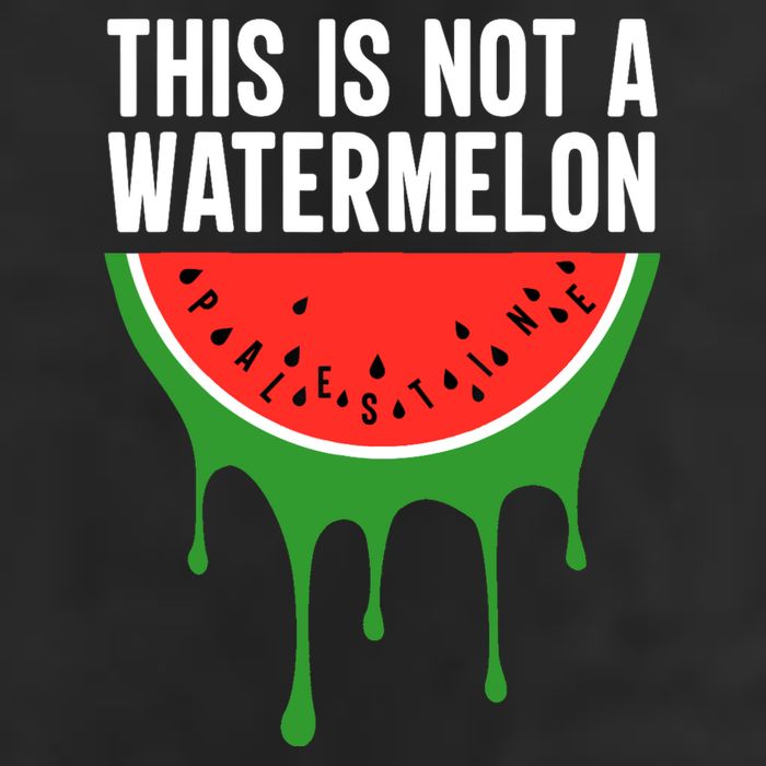 Palestine Funny Quote This Is Not A Watermelon Garment-Dyed Fleece Hoodie