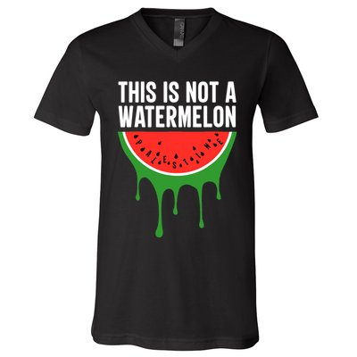 Palestine Funny Quote This Is Not A Watermelon V-Neck T-Shirt