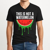 Palestine Funny Quote This Is Not A Watermelon V-Neck T-Shirt