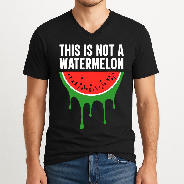 Palestine Funny Quote This Is Not A Watermelon V-Neck T-Shirt