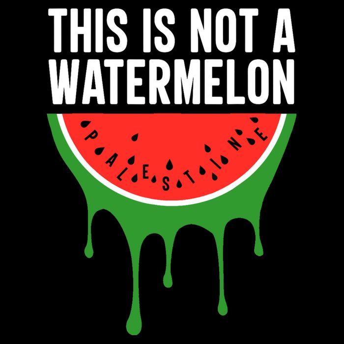 Palestine Funny Quote This Is Not A Watermelon Cooling Performance Long Sleeve Crew