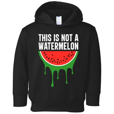 Palestine Funny Quote This Is Not A Watermelon Toddler Hoodie