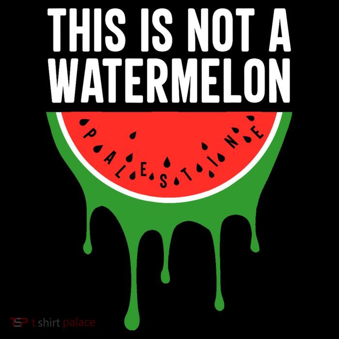 Palestine Funny Quote This Is Not A Watermelon Womens T-Shirt