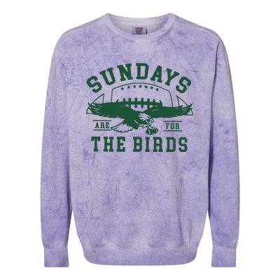 Philadelphia Football Sundays Are For The Birds Colorblast Crewneck Sweatshirt