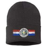 Paraguay Flag Sports Athletic Jersey Style Top Sustainable Knit Beanie