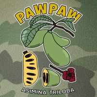 Pawpaw Fruit Tree Asimina Triloba Legacy Tie Dye Trucker Hat