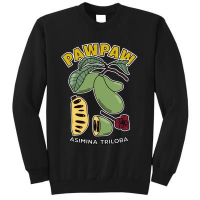 Pawpaw Fruit Tree Asimina Triloba Sweatshirt