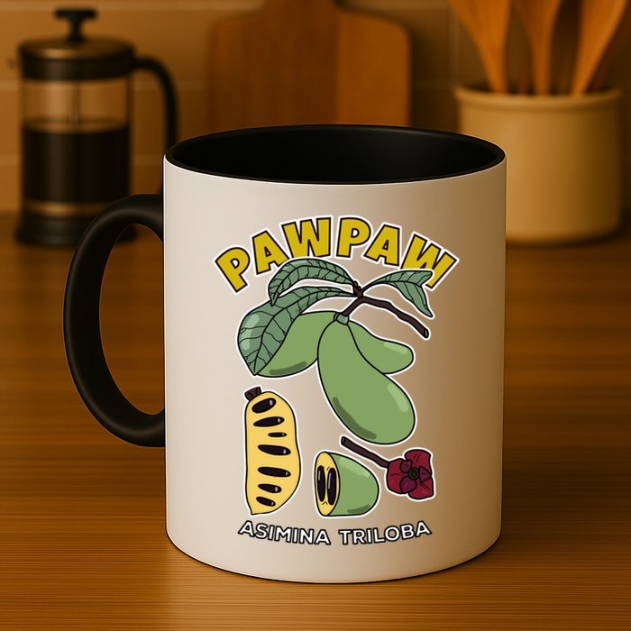 Pawpaw Fruit Tree Asimina Triloba Mug