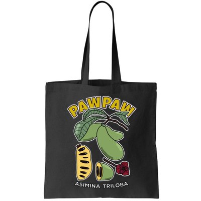 Pawpaw Fruit Tree Asimina Triloba Bag