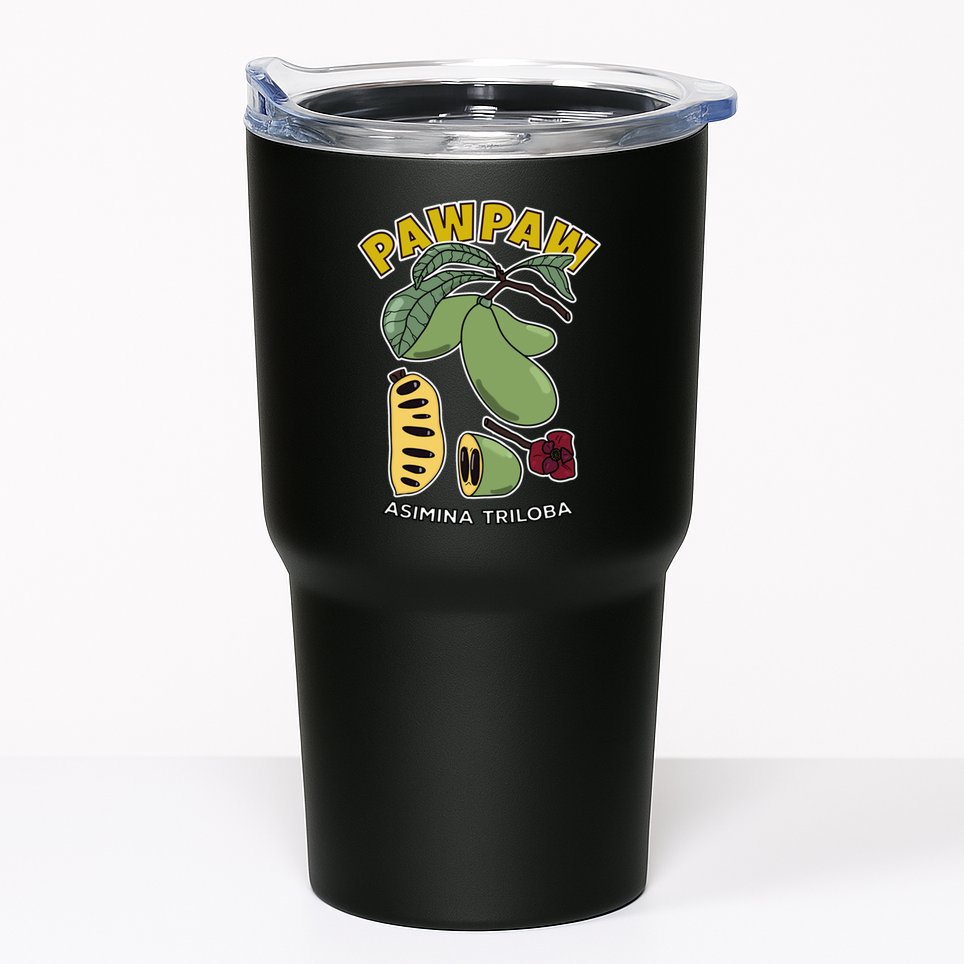Pawpaw Fruit Tree Asimina Triloba Tumbler