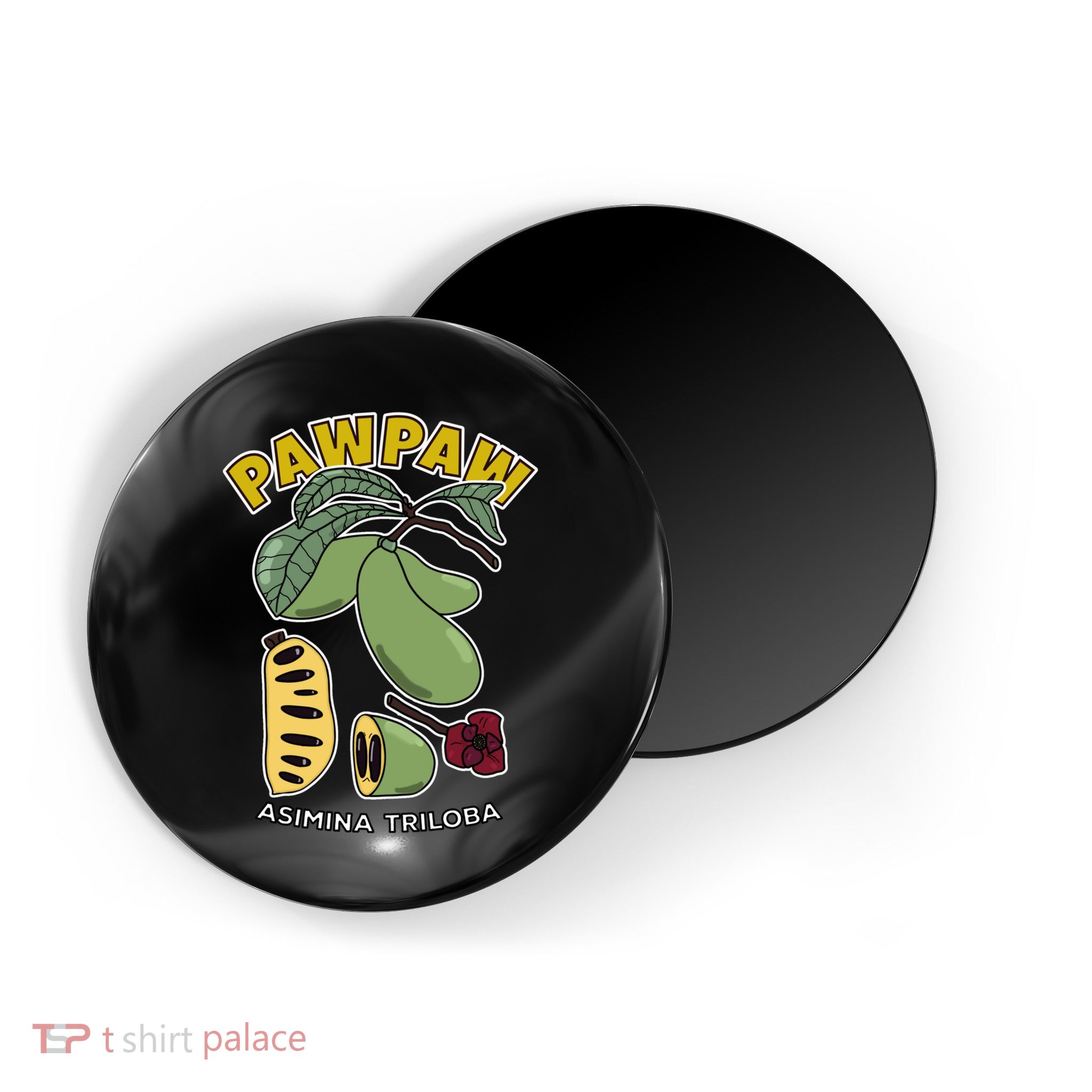 Pawpaw Fruit Tree Asimina Triloba Magnet