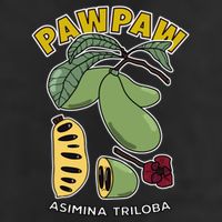 Pawpaw Fruit Tree Asimina Triloba Golf Towel