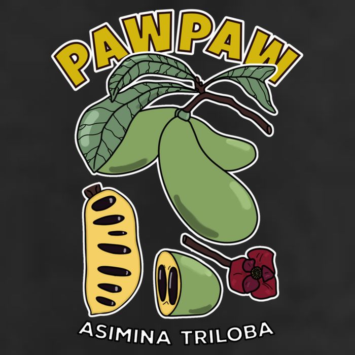 Pawpaw Fruit Tree Asimina Triloba Golf Towel