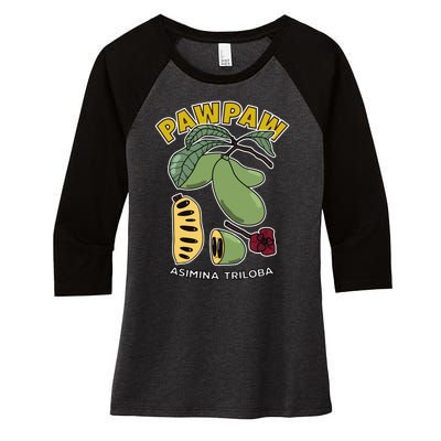 Pawpaw Fruit Tree Asimina Triloba Women's Tri-Blend 3/4-Sleeve Raglan Shirt