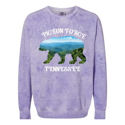 Pigeon Forge Tennessee Bear Great Smoky Mountains Souvenirs Gift Colorblast Crewneck Sweatshirt