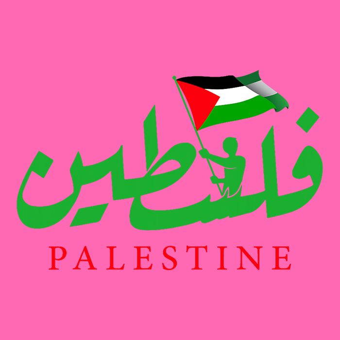 Palestine For The Palestinian People Stripe Pom Pom Beanie