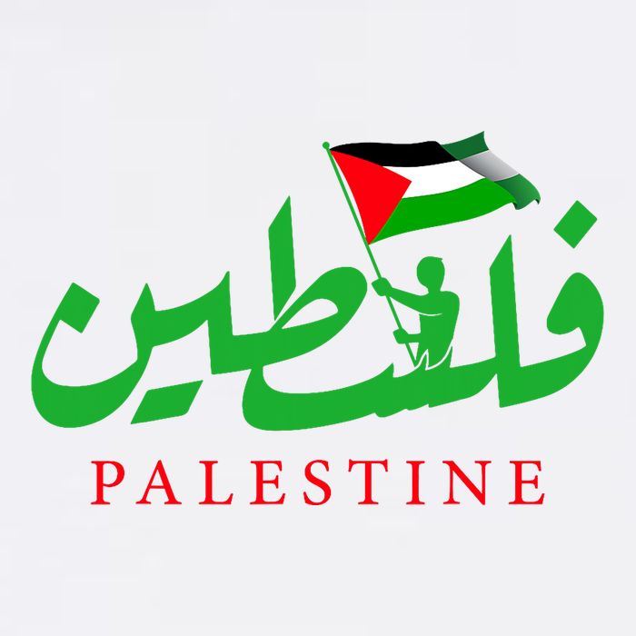 Palestine For The Palestinian People Mesh Reversible Basketball Jersey Tank