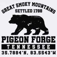 Pigeon Forge Tennessee Bear Great Smoky Mountains Visor