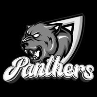 Panthers Fan Team Supporter Sports Animal Wildlife Lover 16 in Basic Backpack