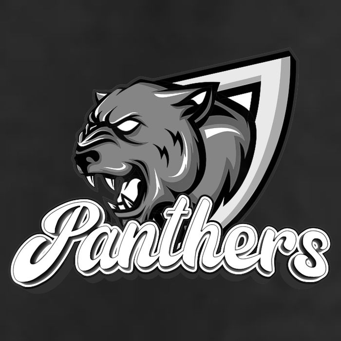 Panthers Fan Team Supporter Sports Animal Wildlife Lover Hat