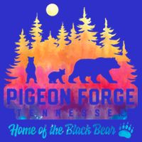 Pigeon Forge Tennessee Bear Great Smoky Mountains Tie Dye 16 in Basic Backpack
